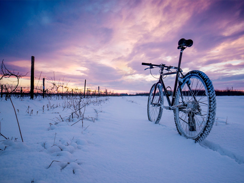 Radfahren im Winter - Relamare - Der Natur ganz nah